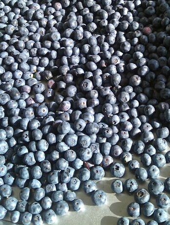 Blueberries